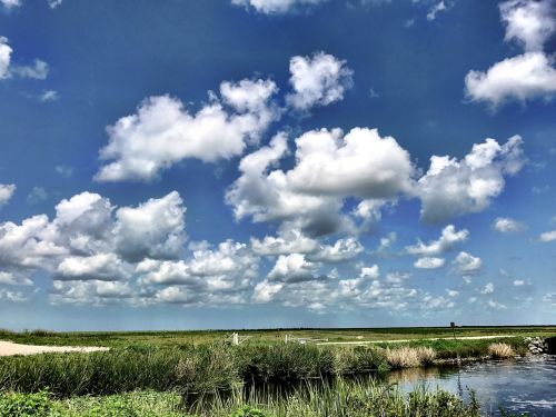 sky florida landscape