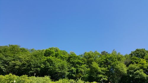 sky autumn sky forest