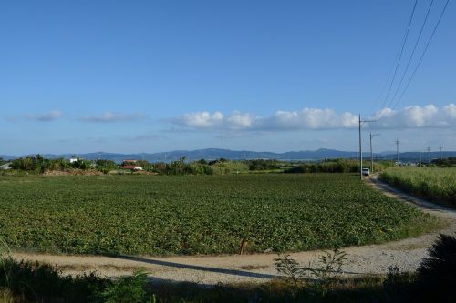 sky cloud field