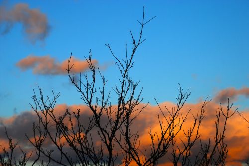 sky cloud blue