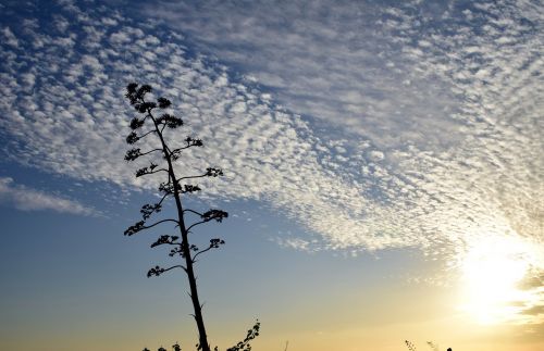 sky sunset abendstimmung