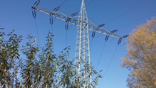 sky tree autumn