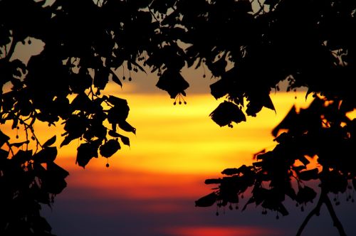 sky evening sunset