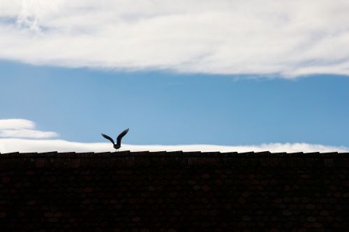 sky nature landscape