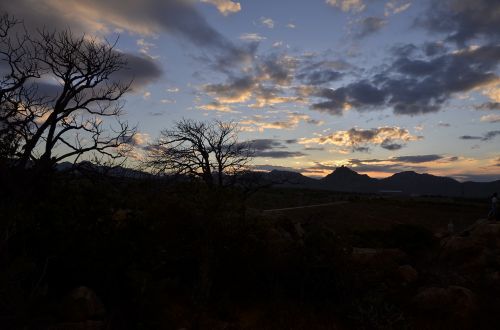 sky sunset tree