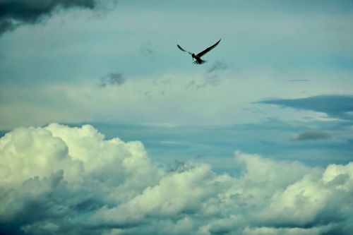 sky nature cloud