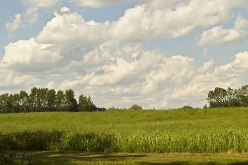 sky  countryside  hay meadow