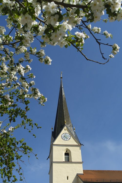 sky  tree  church