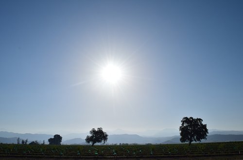 sky  field  trees