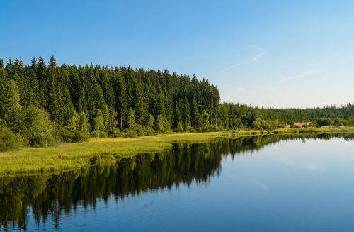 sky forest lake