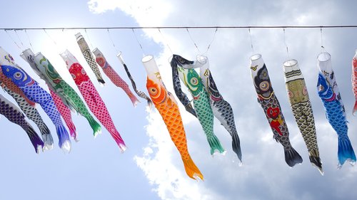 sky  carp  japan