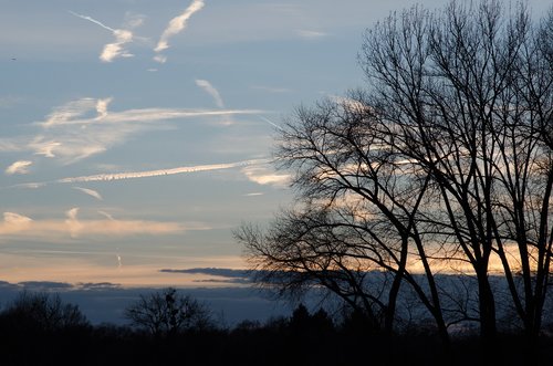 sky  nature  field