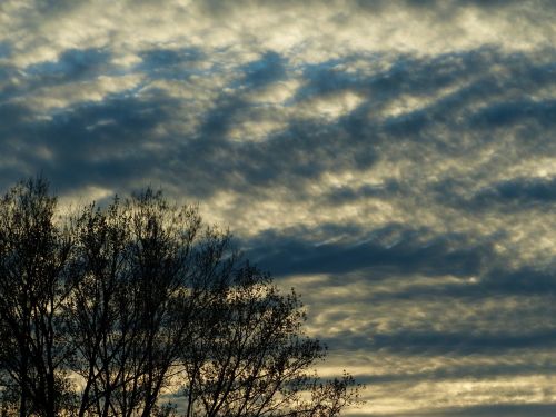 sky clouds trees