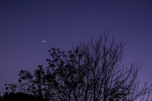 sky  moon  crescent