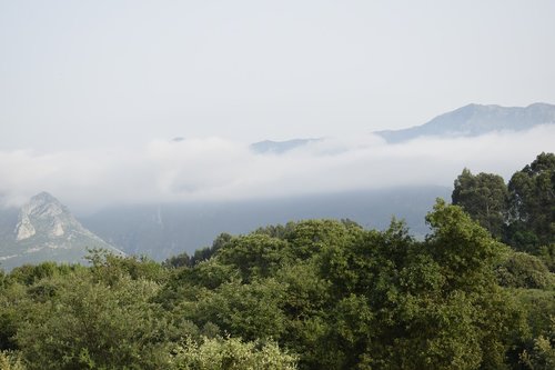 sky  fog  landscape