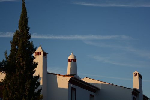 sky  landscape  tree