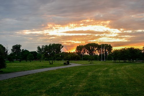 sky  centralpark  meadow