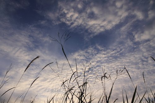 sky  landscape  nature