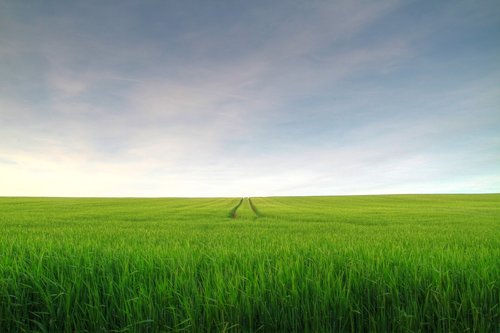 sky  landscape  green