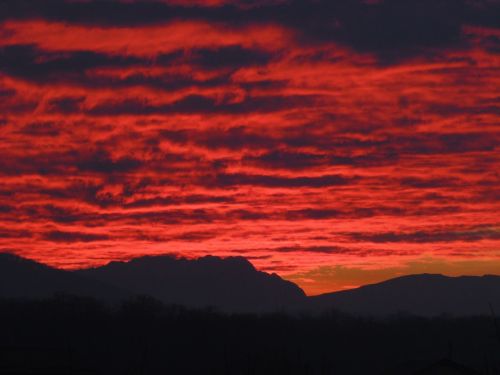 sky red beauty