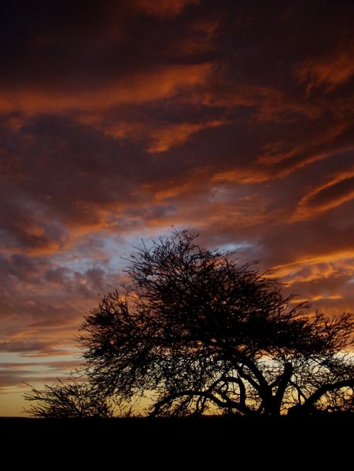 sky evening twilight