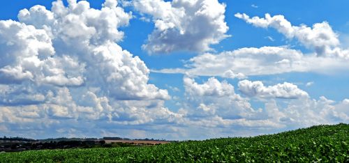 sky cloud soybeans