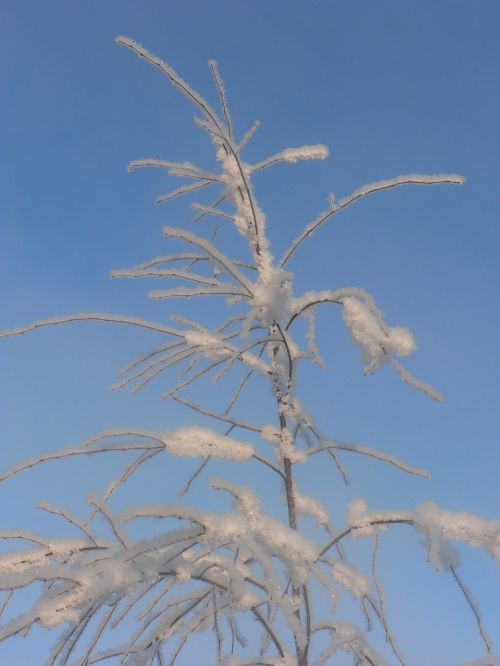 sky frost snow