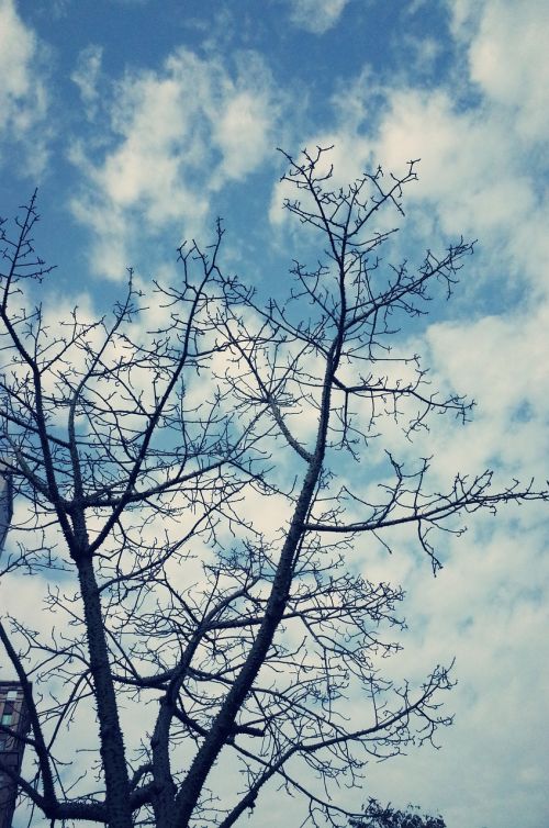 sky blue day baiyun