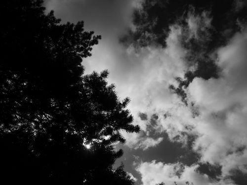 sky black and white landscape