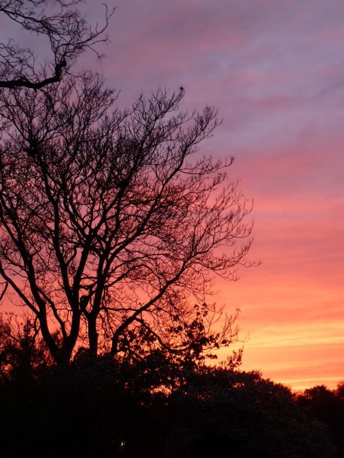 sky sunset evening