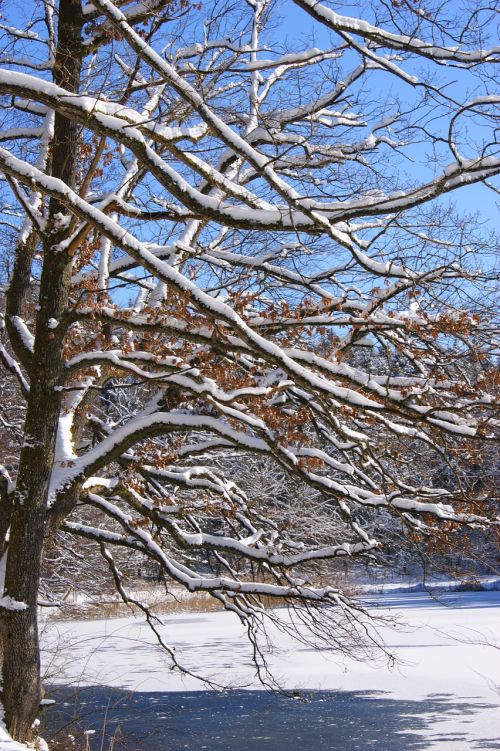 sky blue snow