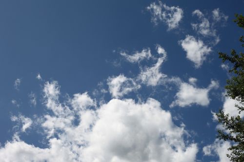 sky clouds tree branches