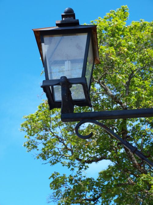 sky blue lamp tree