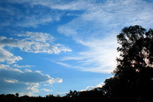 Sky, Clouds And Trees