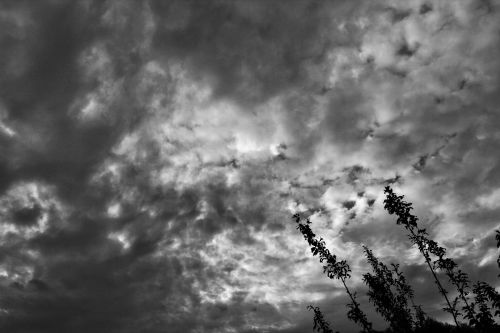 Sky With Cloud In Black And White