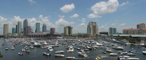 skyline tampa florida