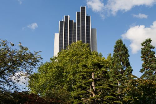 skyscraper trees architecture