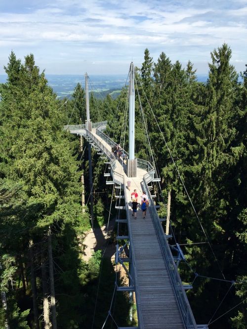 skywalk allgäu skywalk skywalk scheidegg