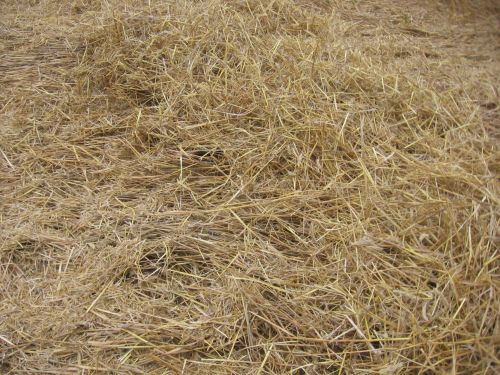 Straw On The Field