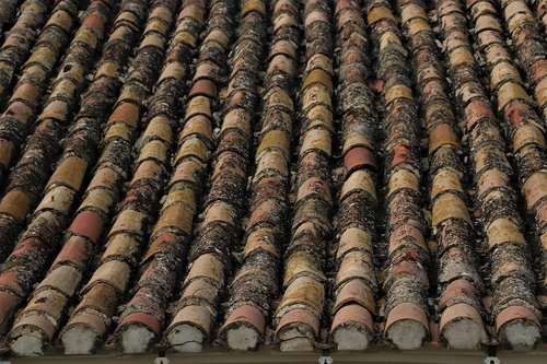 slate  roof  architecture