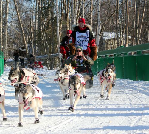 sledge sled sleigh