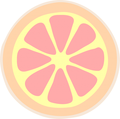slice grapefruit citrus
