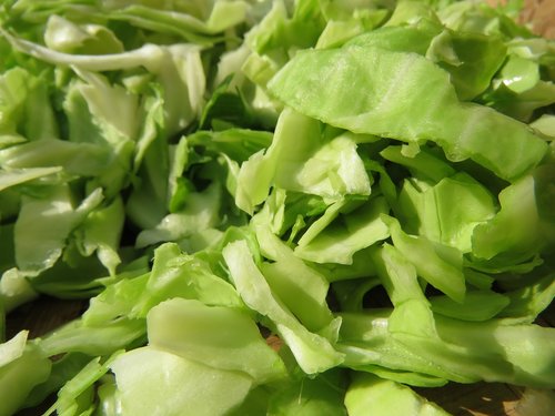 sliced cabbage  cabbage  vegetable