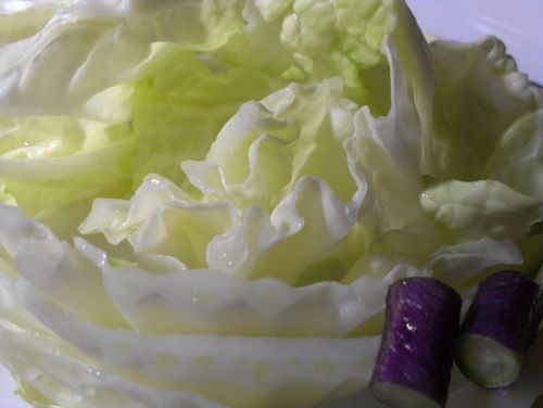 Sliced Cabbages