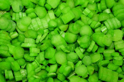 sliced vegetable green background vegetable