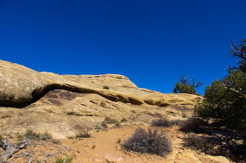 slick rock  sandstone  trail