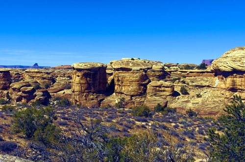 slickrock trail  needles district  canyonlands national park