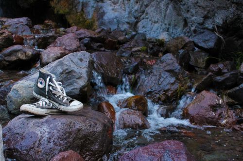 shoes converse rocks