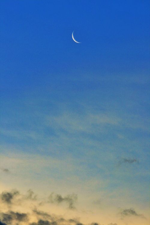 Sliver Moon In Blue Sky