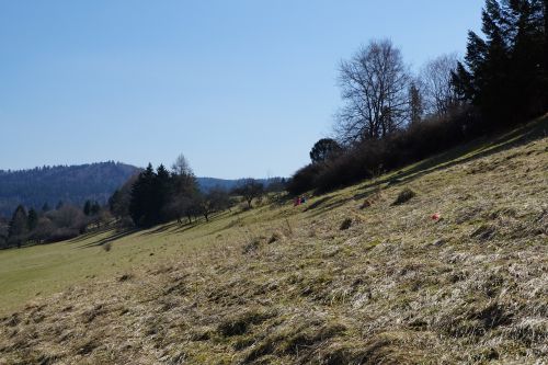 slope meadow children